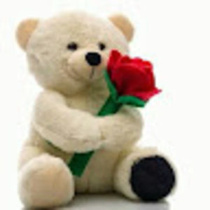 Meet your Posher, Abigail